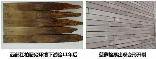 5a9502239ae9a.png